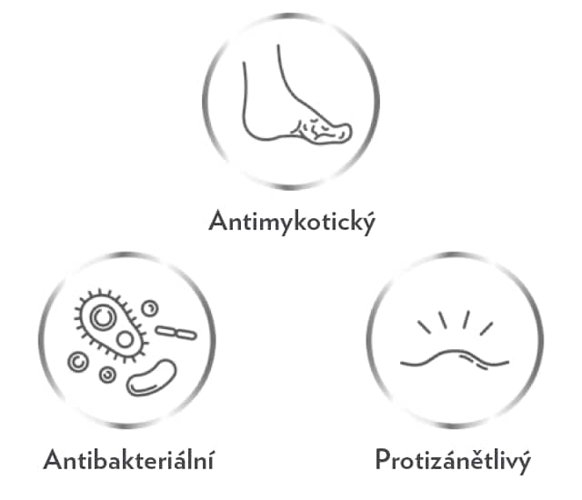 Tři ikony značící antimykotický, antibakteriální a protizánětlivý účinek přípravku Canespor 1x denně krém