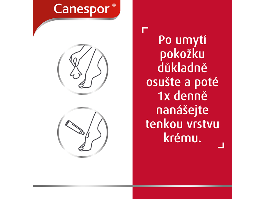 Canespor krém - 1x denně tenká vrstva krému